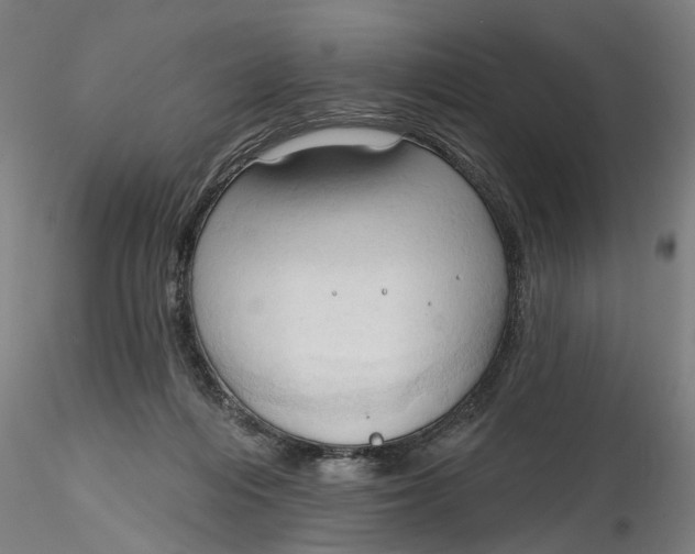 X0000116320216200912221406