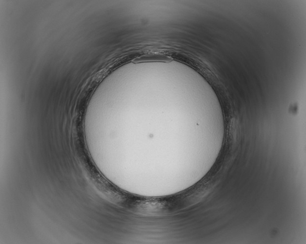 X0000116320217200912221406