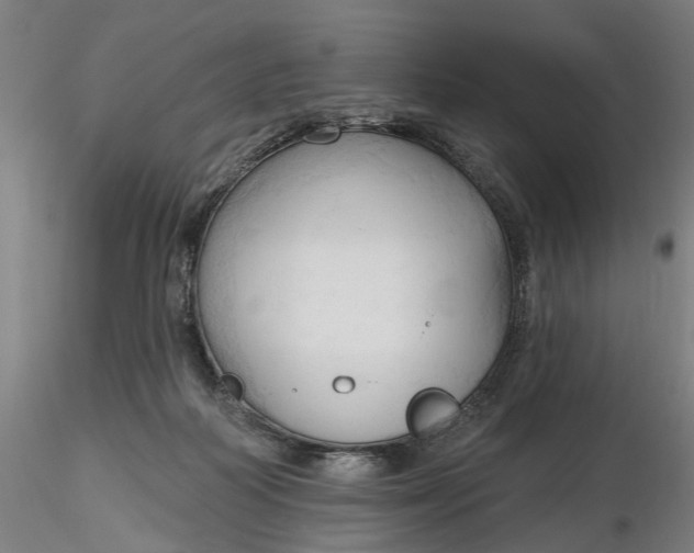 X0000116320218200912221406