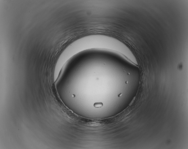 X0000116320219200912221406