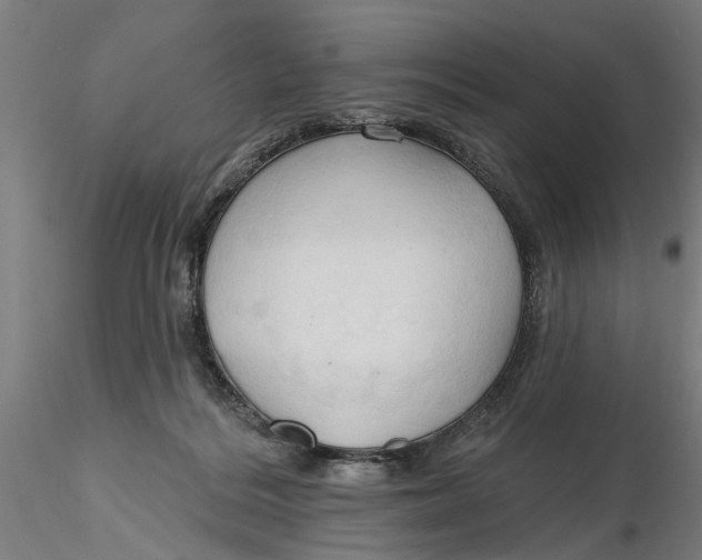 X0000116320220200912221405