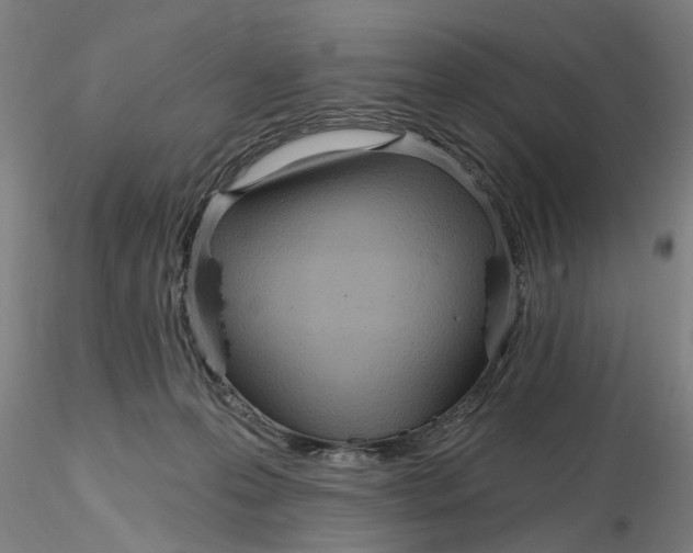 X0000116320223200912221405