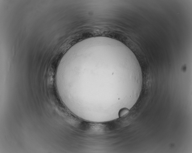 X0000116320226200912221405