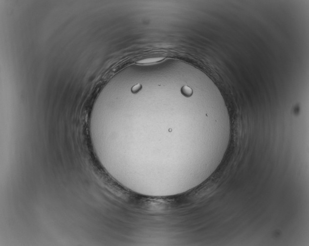 X0000116320229200912221405