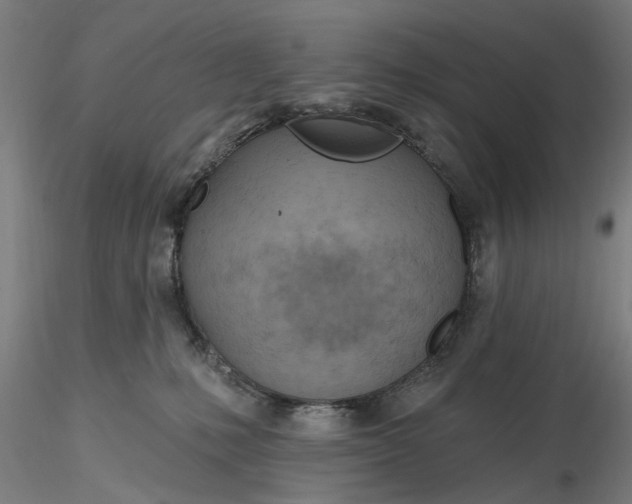 X0000116320231200912221405