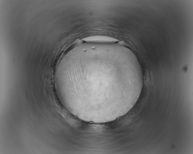 X0000116320233200912221405