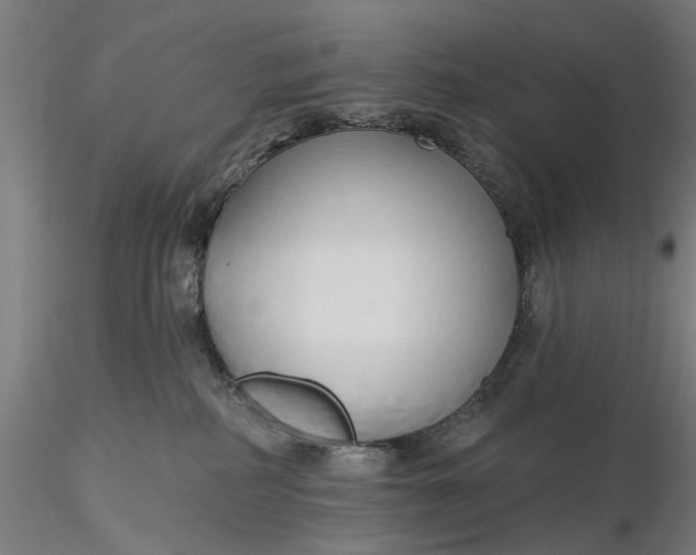 X0000116320234200912221405