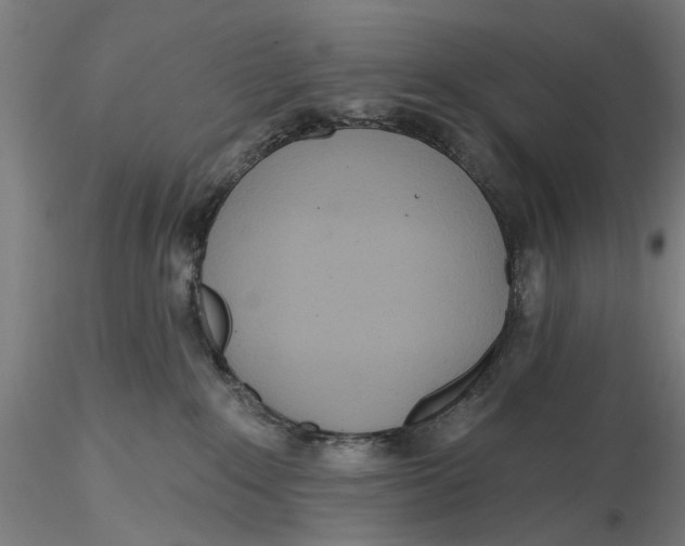 X0000116320235200912221405