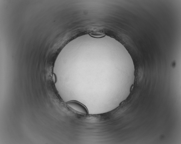 X0000116320236200912221405