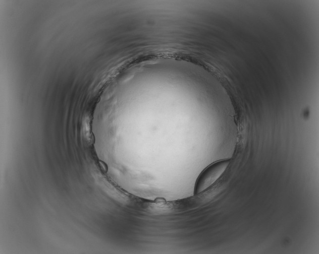 X0000116320238200912221405