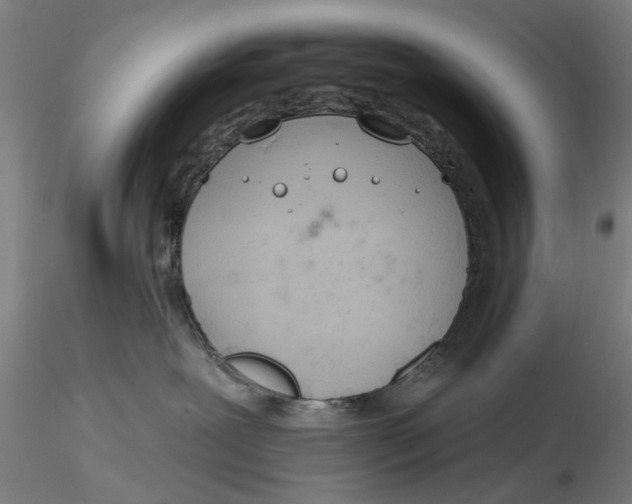 X0000116320239200912221405