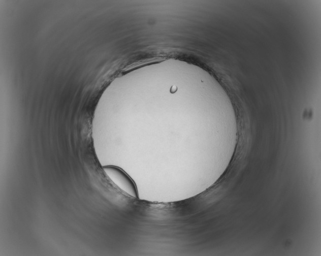 X0000116320240200912221405