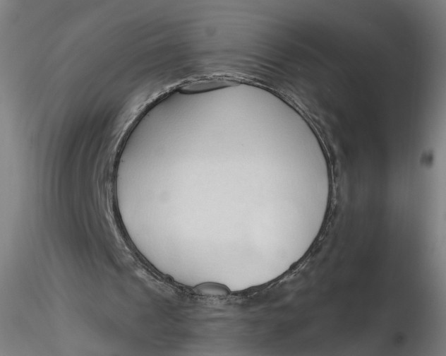 X0000116320241200912221405