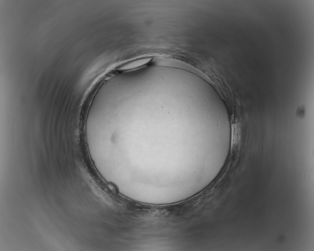 X0000116320243200912221405