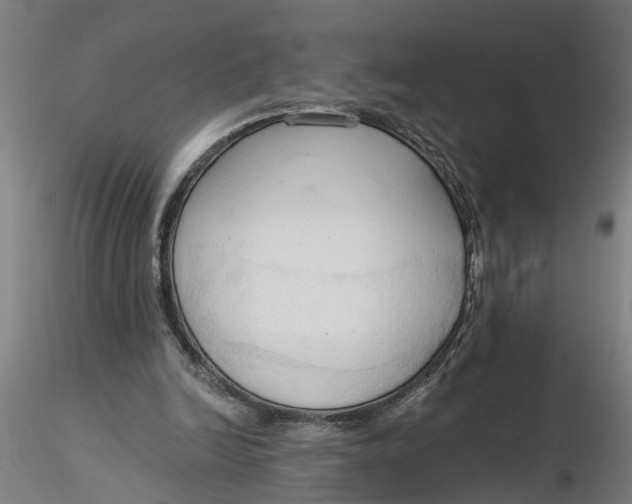 X0000116320246200912221405