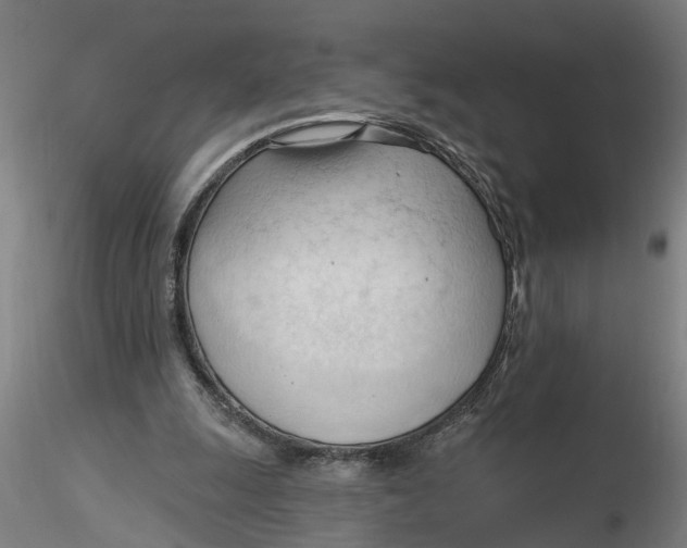 X0000116320247200912221405