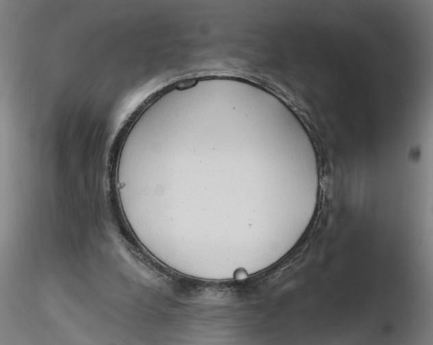 X0000116320248200912221405