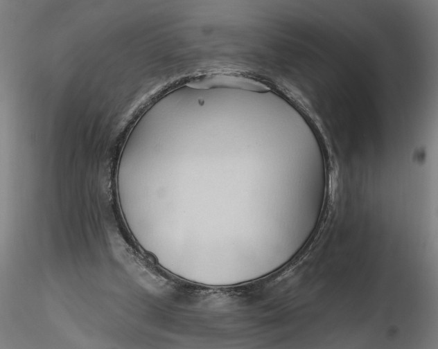 X0000116320249200912221405