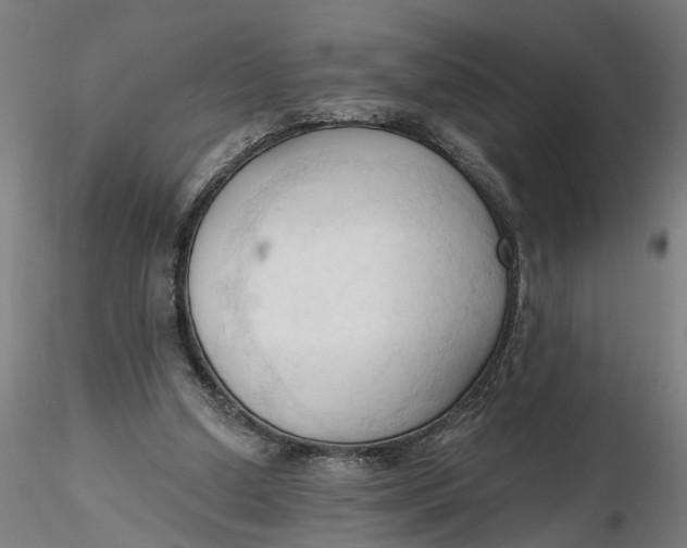 X0000116320250200912221405