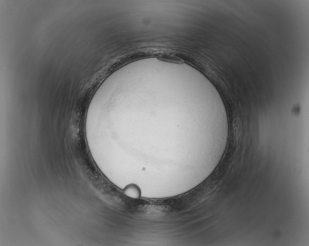 X0000116320255200912221405