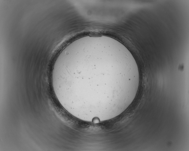 X0000116320256200912221405