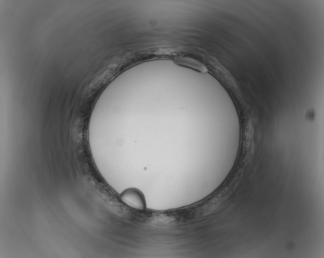 X0000116320257200912221405