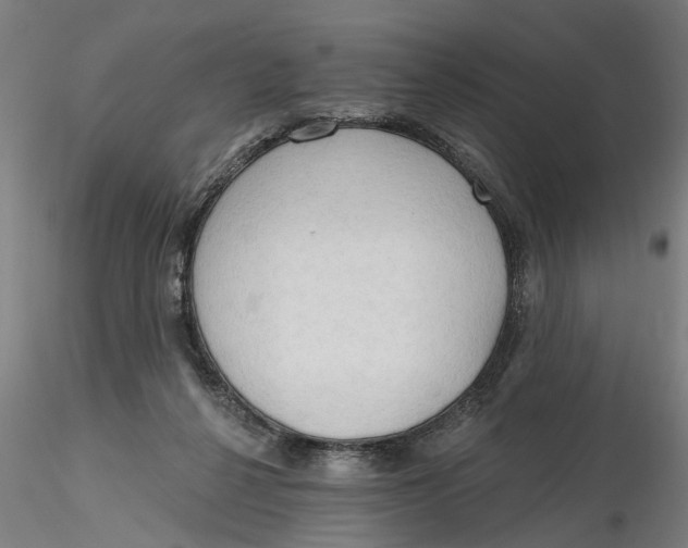 X0000116320264200912221405