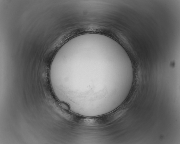 X0000116320265200912221405