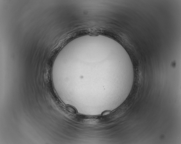 X0000116320266200912221405