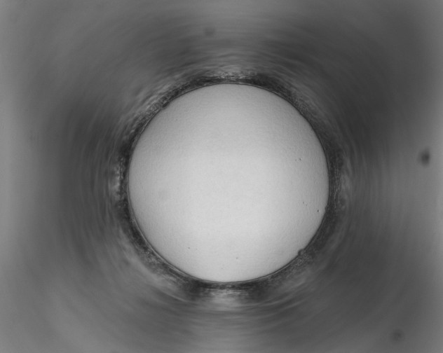 X0000116320268200912221405