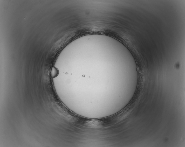 X0000116320269200912221405