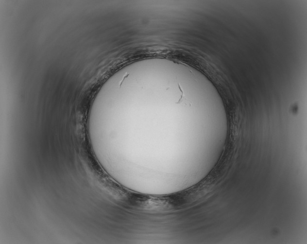 X0000116320270200912221405