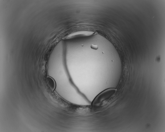 X0000116320271200912221405