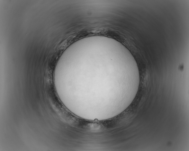 X0000116320272200912221405