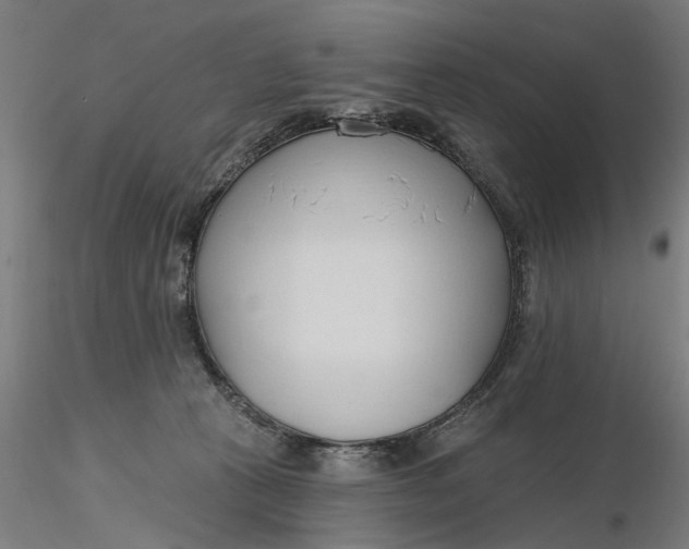 X0000116320273200912221405