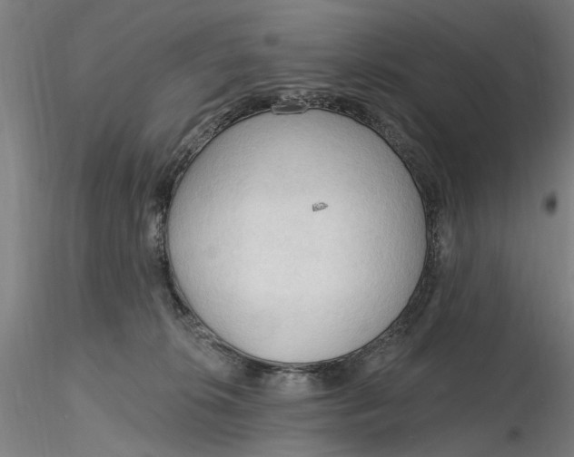 X0000116320276200912221405