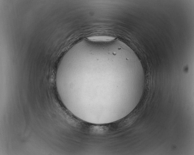 X0000116320277200912221405