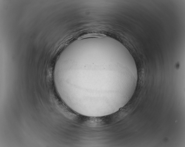 X0000116320278200912221405