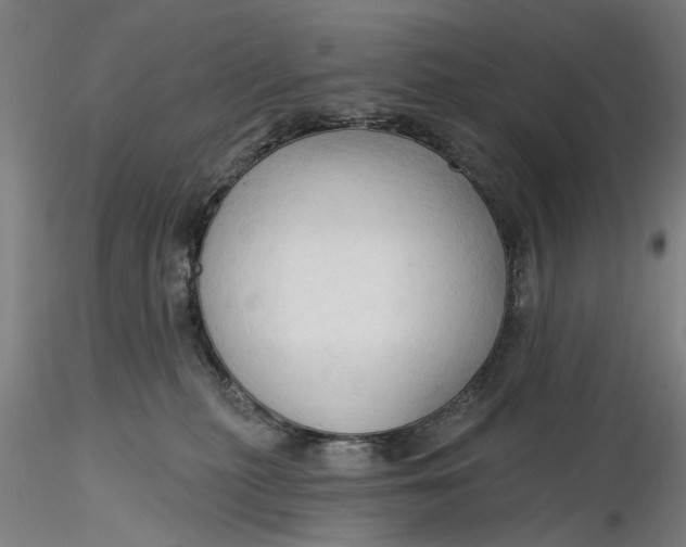 X0000116320279200912221405