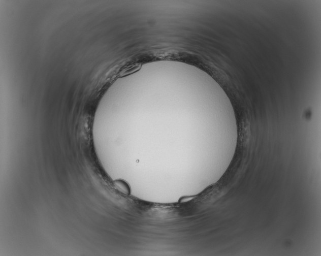 X0000116320280200912221405