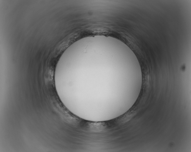 X0000116320281200912221405