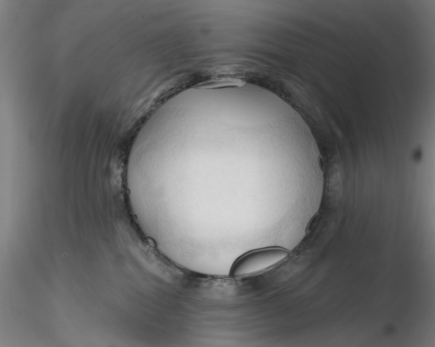 X0000116320282200912221405