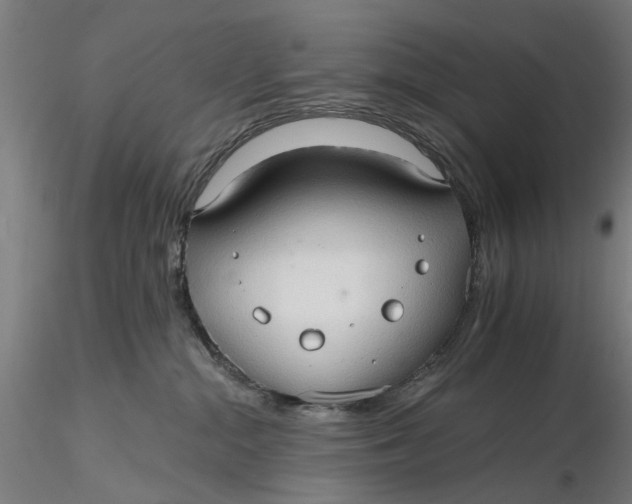 X0000116320284200912221405