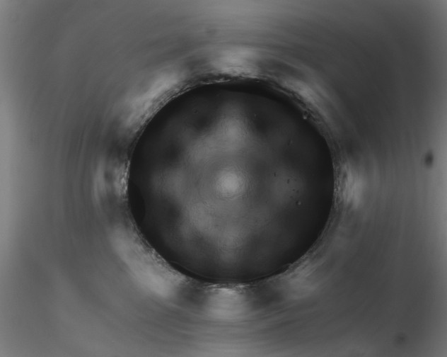 X0000116320285200912221405