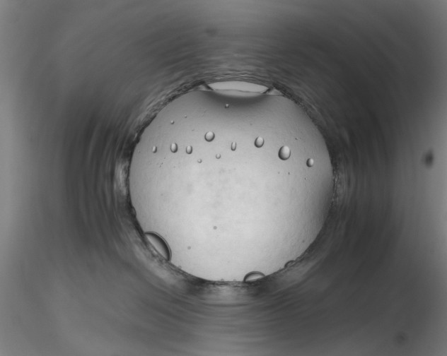 X0000116320286200912221405