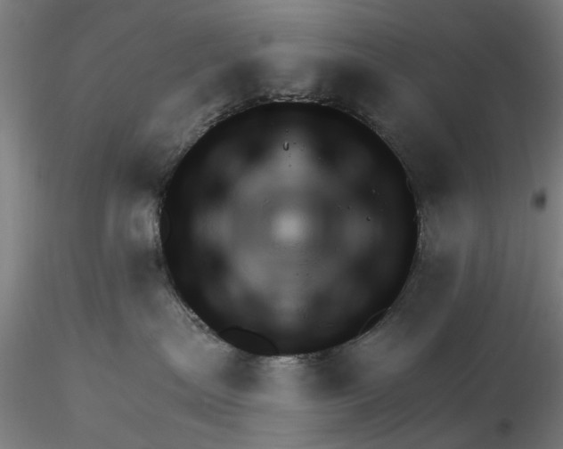 X0000116320287200912221405