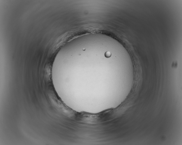 X0000116320288200912221405