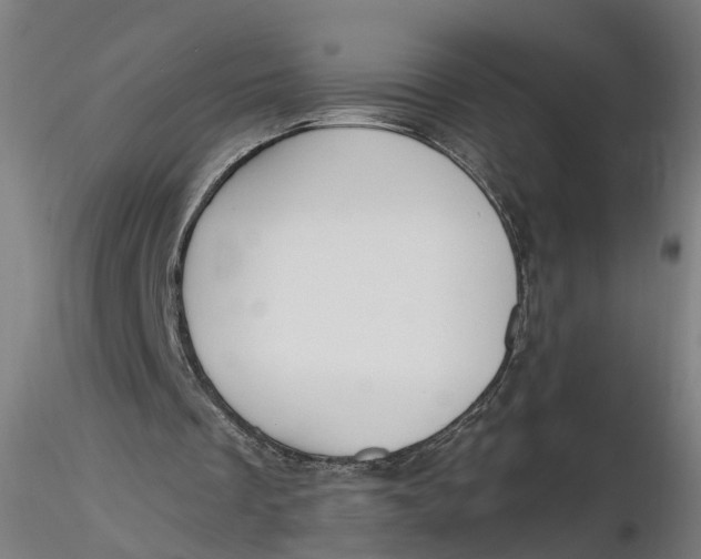 X0000116320289200912221405