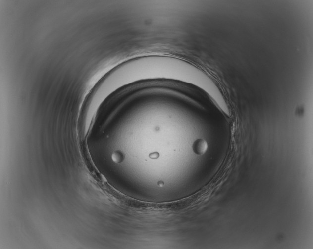 X0000116320292200912221405