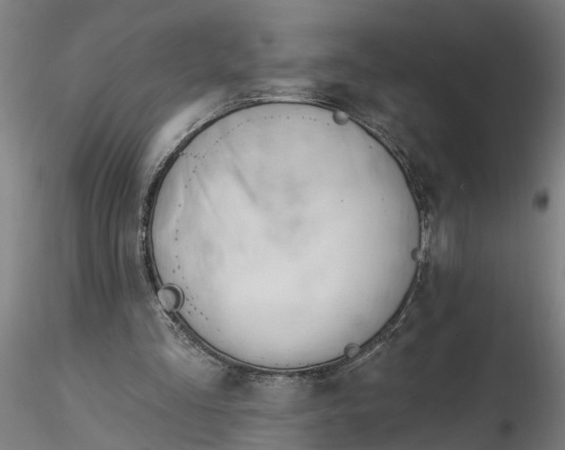 X0000116320293200912221405